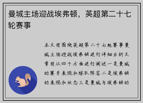 曼城主场迎战埃弗顿，英超第二十七轮赛事